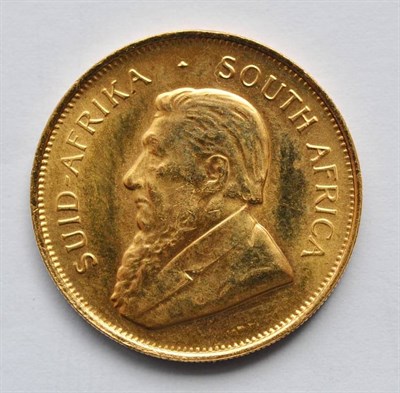 Lot 72 - South Africa Half Krugerrand 1981, 17g, BU