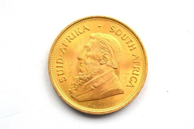 Lot 17 - South Africa Krugerrand 1971, minor marks/scuffs AEF/EF