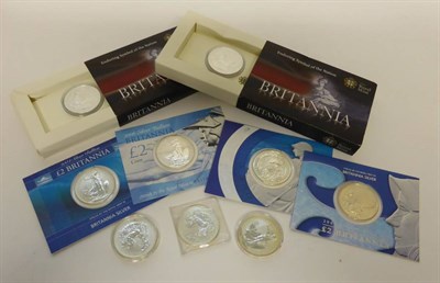 Lot 192 - 9 x Britannia Silver Bullion £2 Coins: 1999(x2) & 2000 in capsules & 2003, 2004, 2005, 2006...