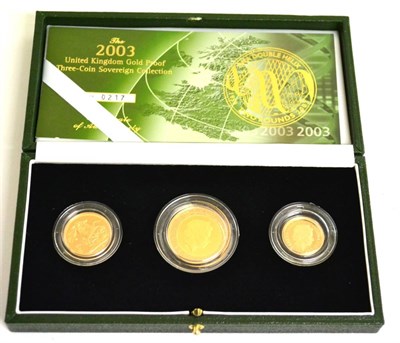 Lot 42 - Gold Proof 3-Coin Sovereign Collection 2003 comprising: £2 rev. 'DNA Double Helix' 15.98g,...