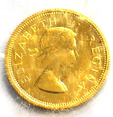 Lot 56 - South Africa Gold Proof Half Pound 1953, 4g, .917 gold, ABU