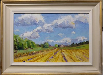 Lot 2135 - David Edwards (Contemporary) 'Snape Castle and Stubble Field' 2013 Signed, oil on board, 29cm...