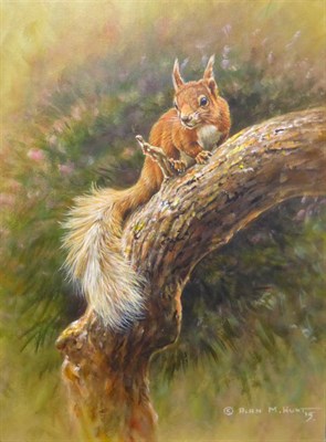 Lot 2155 - Alan M. Hunt (b.1947) 'Cheeky Red Squirrel' Signed, inscribed verso, oil on canvas, 40.5cm by...