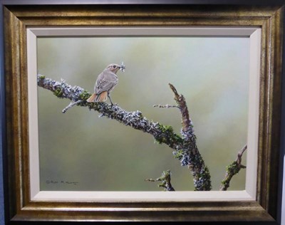 Lot 2156 - Alan M. Hunt (b.1947)  A Garden Warbler standing on a branch and eating a bee Signed and dated...