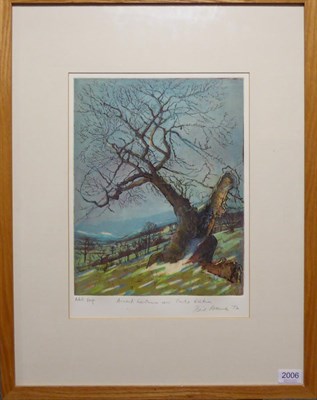 Lot 2006 - Piers Browne (b.1949) 'Ancient Hawthorn near Castle Bolton' Signed in pencil and dated (19)92, A/P