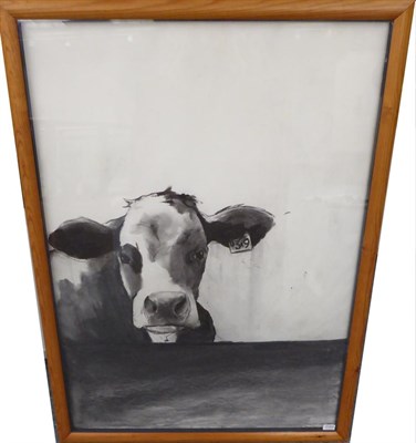 Lot 2085 - John Marshall (Contemporary) 'Gertie', A head study of a cow Signed and dated 1999, charcoal, 118cm