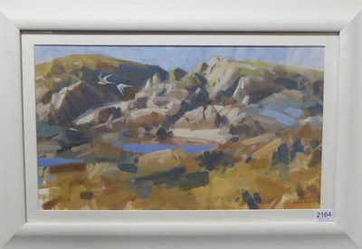 Lot 2164 - John Threlfall (Contemporary) Arctic Terns flying over a lakeland landscape Signed, oil on...