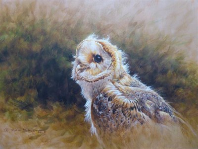 Lot 2165 - Alan M. Hunt (b.1947)  'Scruffy' Barn Owl Chick Signed and dated 2015, inscribed verso, oil on...