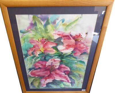 Lot 2075 - Mary Fishburn (Alex) (b.1948) Martagon lily Signed, pencil and watercolour, 73.5cm by 53cm