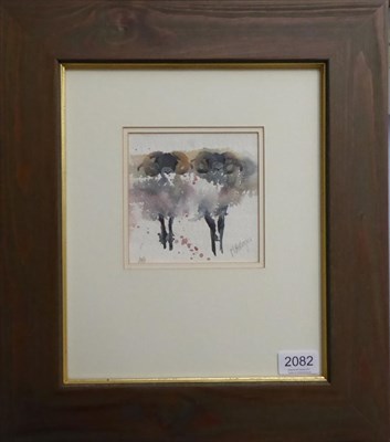 Lot 2082 - Mary Ann Rogers (Contemporary) Study of Rams Signed, watercolour, 12cm by 12cm