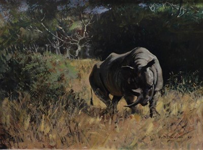 Lot 2102 - Keith Shackleton (1923-2015)  Black rhino in the bush  Signed and dated (19)60, oil on board,...