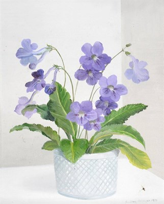 Lot 2159 - Audrey Johnson (1918-2010)  'Streptocarpus' Signed and dated 1971, inscribed and dated on...