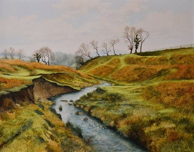 Lot 2175 - John Ridgewell (1937-2004)  A stream meandering through a wooded landscape Signed, oil on...