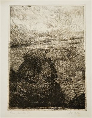 Lot 2007 - Peter Coker RA (1924-2006) 'Rain Starbotton' Signed, inscribed and numbered 5/10, etching, 54cm...