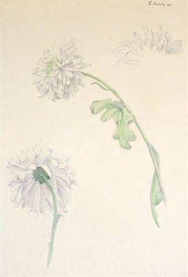 Lot 2099 - Gerald French (1927-2001) Study of a Chrysanthemum Signed and dated (19)46, pencil and watercolour