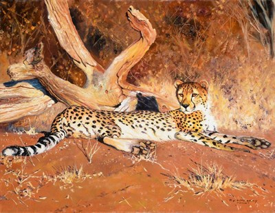 Lot 2164 - Pip McGarry (b.1955) Resting Cheetah Signed and dated 2014, oil on canvas, 36cm by 46cm (unframed)