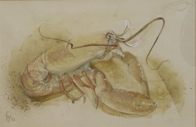 Lot 2071 - Ray Howard Jones (1903-1996) Lobster study Signed and dated (19)50, pencil and watercolour...