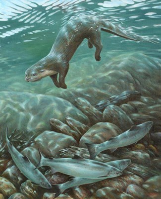 Lot 2153 - Roderick Sutterby (b.1944)  Otter diving for fish  Signed, acryllic on canvas, 60cm by 50cm...