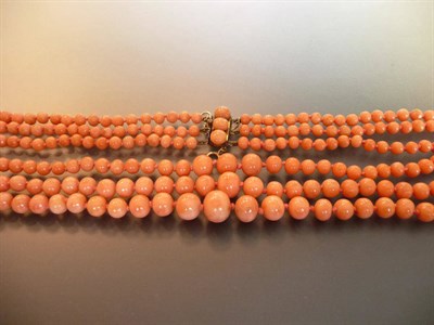 Lot 470 - A Coral Necklace, three rows of graduated coral beads on a knotted string, to a clasp set with...