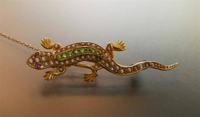 Lot 471 - A Lizard Brooch, the lizard set with peridots along the length of its back, ruby eyes and seed...