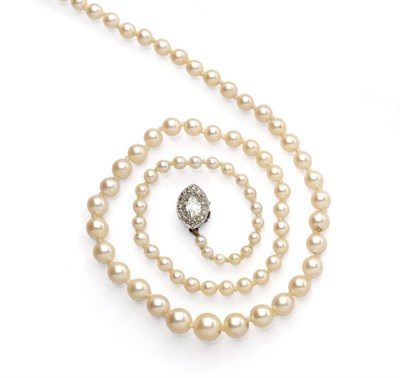 Lot 481 - A Cultured Pearl Necklace with a Diamond Clasp, the one hundred and three cultured pearls on a...