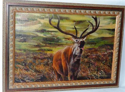 Lot 1132 - George Munton (b.1976)  Roaring Stag Signed and dated 2000, oil on canvas, 49cm by 75.5cm