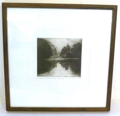 Lot 1010 - Norman Ackroyd CBE, RA (b.1938) 'Carp Lake (Ackroyd's Pond)'  Signed and dated (19)91, artists...