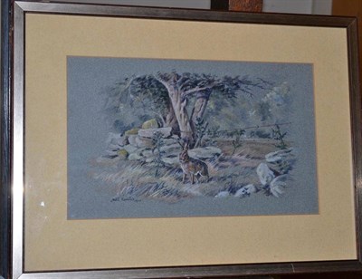 Lot 1064 - David Cemmick (Contemporary) 'Hare in Evening Light' Signed and dated 1977, watercolour,...