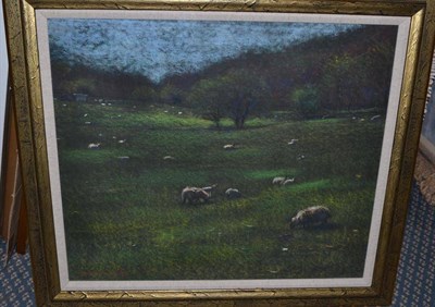 Lot 1108 - John Mackie (b.1955) Landscape with sheep grazing Signed and dated (19)81, pastel, 48cm by 57cm