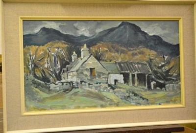 Lot 1114 - Ray Burrows (20th/21st century) A Farm Near Brithdir, Gwynedd Signed, oil on canvas