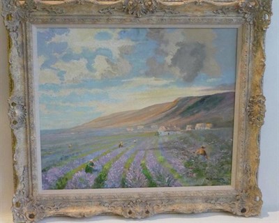 Lot 1139 - Gordon Clifford Barlow (1913-2005) 'Southern France, Lavender Fields' Signed, inscribed verso,...