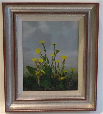 Lot 1191 - Audrey Johnson (b.1918) Yellow flowers Signed and indistinctly dated, oil on board, 23.5cm by 18cm