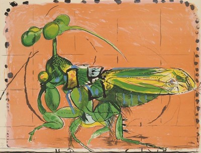 Lot 1044 - Graham Sutherland OM (1903-1980) Grasshopper Signed in pencil, numbered 50/70, lithograph, 49cm...