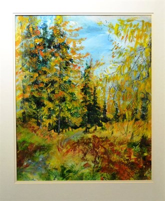 Lot 2069 - Selina Thorp (b.1968) 'Autumn Colours Tarn Hows - Lake District' Signed, bears artist's label...