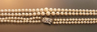 Lot 599 - A Double Strand of Graduated Pearls with 9 Carat White Gold Diamond Set Clasp, the one hundred...