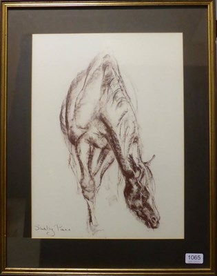 Lot 1065 - Shirley Pace (Contemporary) Study of Circus Plume grazing Signed, coloured chalk, 45cm by 33cm...