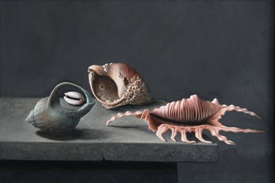 Lot 1162 - * Stuart Morle (b.1960) 'Still life of Sea Shells after Adriaen Coorte' Signed, oil on board,...