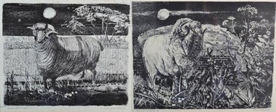 Lot 22 - Colin Gard Allen (b.1926-1987) ''Spanish Merino Sheep'' ''Spanish Merino II'' Each signed,...