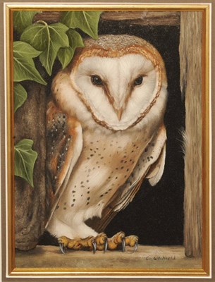 Lot 872 - Carl Andrew Whitfield (b.1958)  Barn Owl standing on a Window Ledge beside Ivy Signed,...