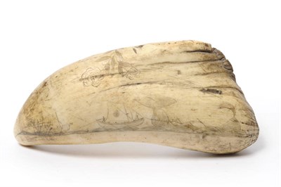 Lot 948 - A Scrimshaw Decorated Large Sperm Whale Tooth, 19th century, incised on one  side with two...