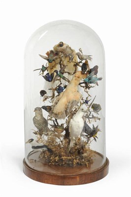 Lot 951 - A Twenty-Two Bird Taxidermy Display, circa 1880, comprising various humming birds and crested...