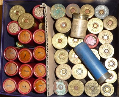 Lot 400 - SHOTGUN CERTIFICATE REQUIRED FOR THIS LOT A Collection of Forty Four Collector's Cartridges,...