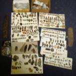 Lot 304 - A Collection of Neolithic Napped Flints, and other tools including arrow heads, scrapers, two heavy