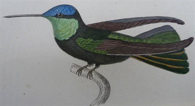 Lot 78 - Jardine (William) The Naturalist's Library, Ornithology, Vol II; Humming-Birds, 1833, portrait...