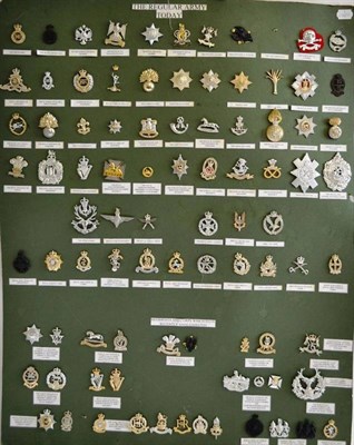 Lot 112 - ;The Regular Army Today;, a card display of eighty nine staybrite cap badges, with slide/lug...