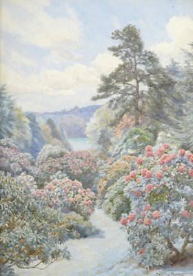 Lot 398 - Beatrice E Parsons (1870-1955) Azaleas in flower at Trebah, Cornwall, looking towards the River...