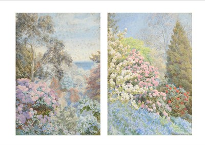 Lot 399 - Beatrice E Parsons (1870-1955) Rhododendrons and Eucalyptus (at Trebah, looking out to sea);...