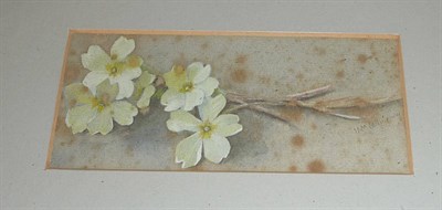 Lot 401 - Ursula M Collingwood Still life of yellow primroses Signed, watercolour, 6cm by 13.5cm