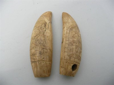 Lot 472 - A 19th Century Scrimshaw Decorated Sperm Whale Tooth as a Cigar Cutter, decorated with two Highland