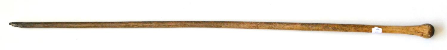 Lot 132 - A 19th Century Yorkshire Pizzle Stick (Bovine Cane), the pommel filled with lead for use as a...